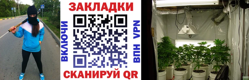 Виды наркотиков купить Бологое Каннабис  ТГК  Псилоцибиновые грибы  Мефедрон  Гашиш  A PVP 