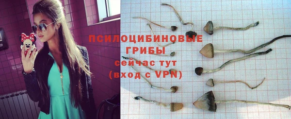 соль курить ск Алзамай
