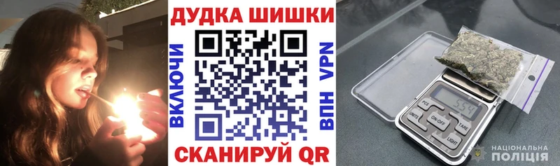 Каннабис OG Kush Бологое